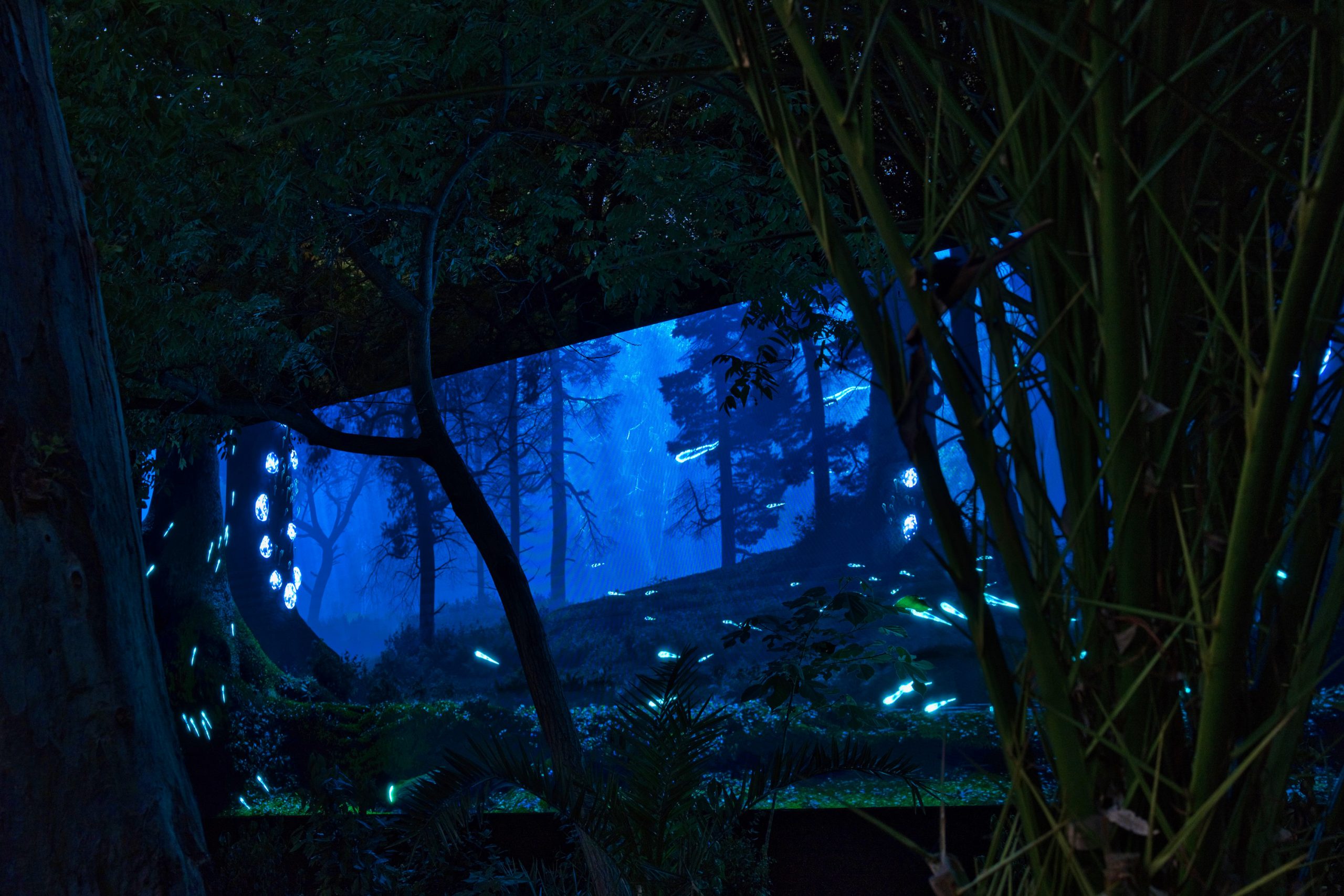 Aias Kokkalis - Ares Awakening - A forest scene at night with a glowing, futuristic blue portal or screen among trees and foliage, created using Houdini CGI, emits blue lights that illuminate the surrounding area in an ethereal, posthuman atmosphere.