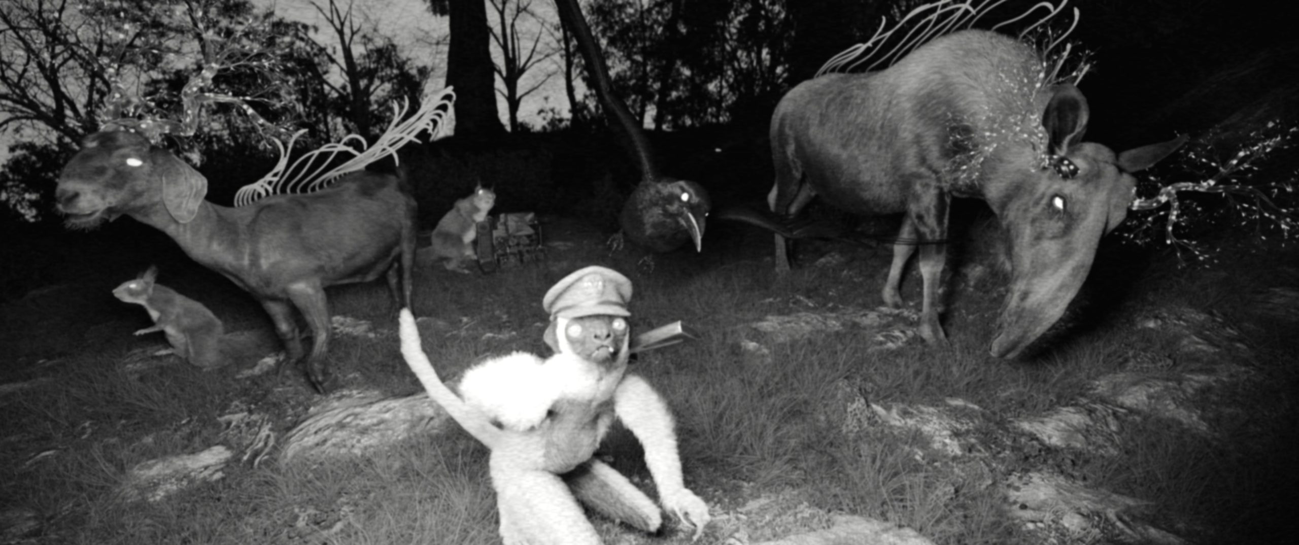 Ares Awakening Aias Kokkalis Plasmata ONASSIS Animals in Forest